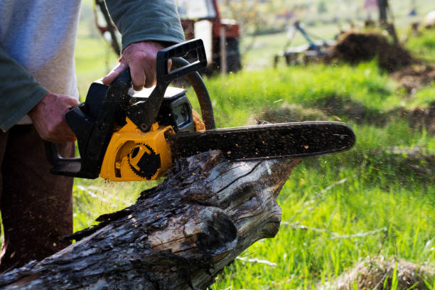 Best Tree Preservation Services  in Redgranite, WI